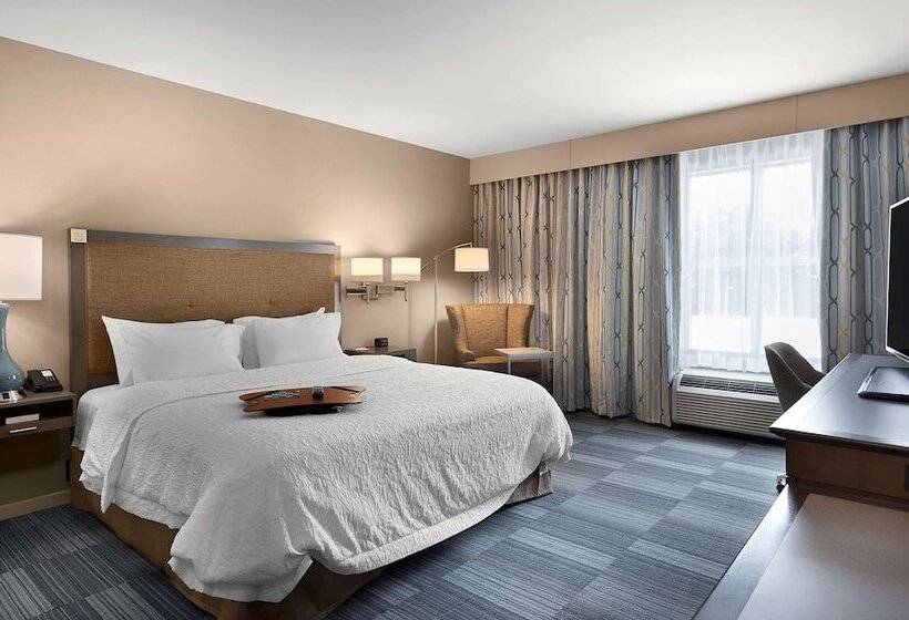 غرفة قياسية سرير كينج لذوى الإحتياجات الخاصة, Hampton Inn & Suites Fort Mill