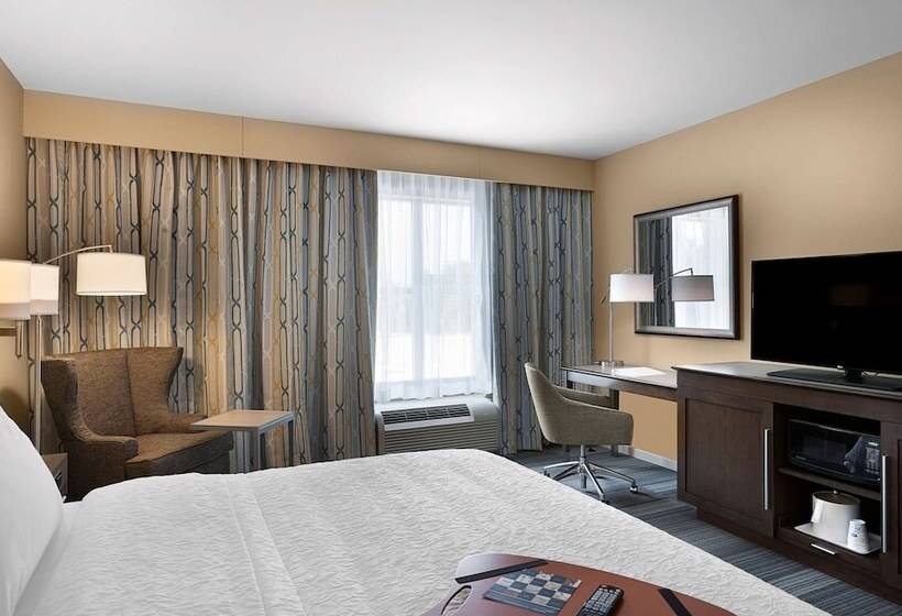 适合残疾人士使用的带超级大床的标准间, Hampton Inn & Suites Fort Mill