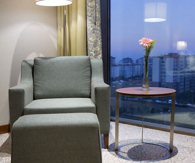 スタンダードルーム, Hilton Garden Inn Istanbul Beylikduzu