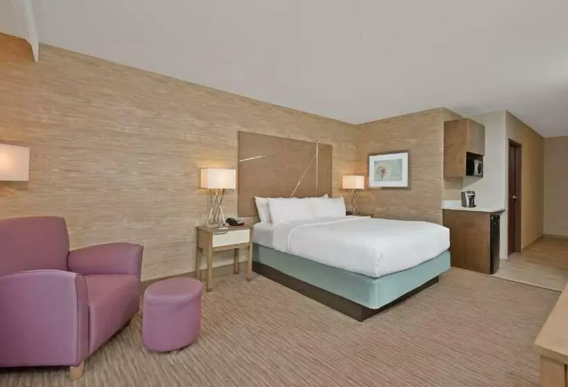 キングサイズベッドのスタンダードルーム, Holiday Inn Express & Suites New Cumberland, An Ihg