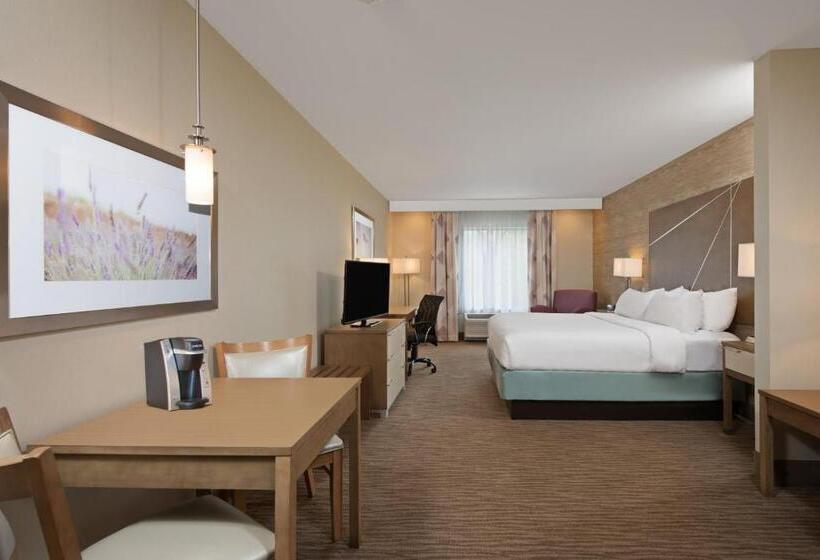 キングサイズベッドのスタンダードルーム, Holiday Inn Express & Suites New Cumberland, An Ihg