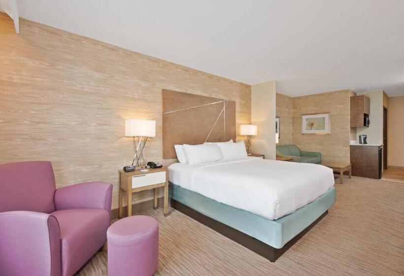キングサイズベッドのスイートルーム, Holiday Inn Express & Suites New Cumberland, An Ihg