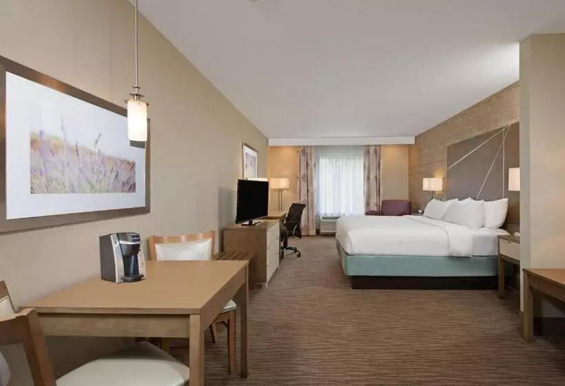 キングサイズベッドのスイートルーム, Holiday Inn Express & Suites New Cumberland, An Ihg
