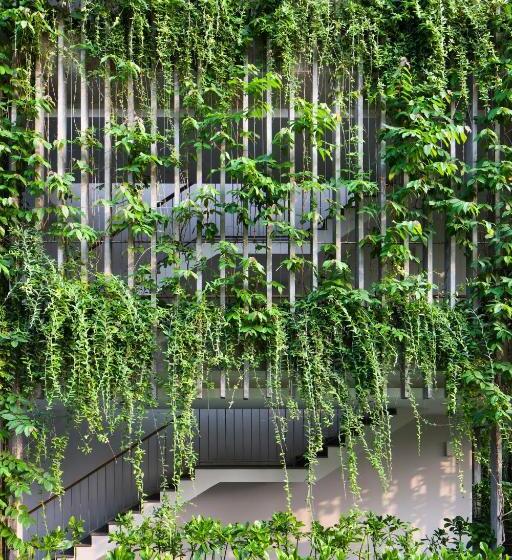 اتاق استاندارد, Naman Retreat