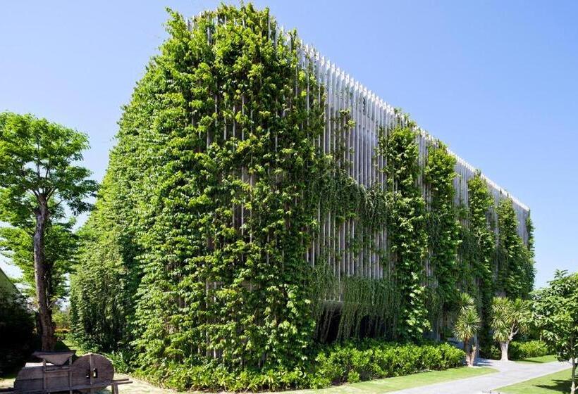 اتاق استاندارد, Naman Retreat