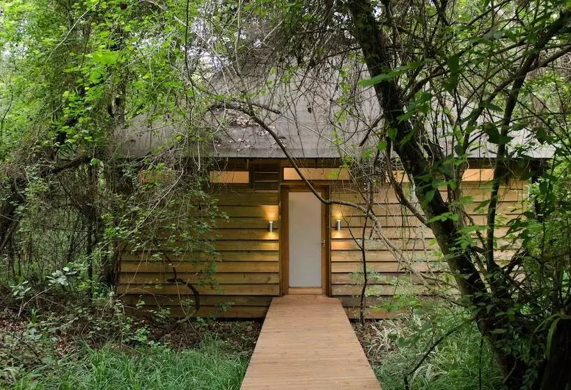 デラックスルーム, Summerfields Rose Retreat And Spa