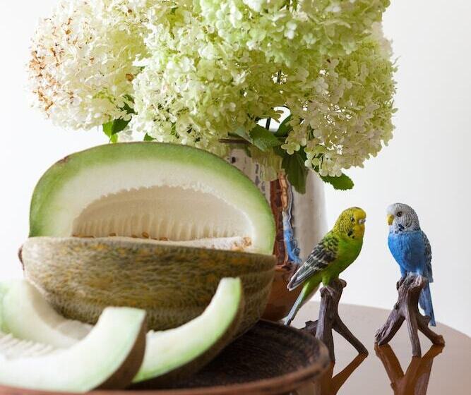 スタンダードルーム, Velich Country Club