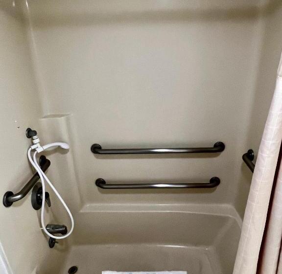 غرفة قياسية لذوى الاحتياجات الخاصة, Rodeway Inn