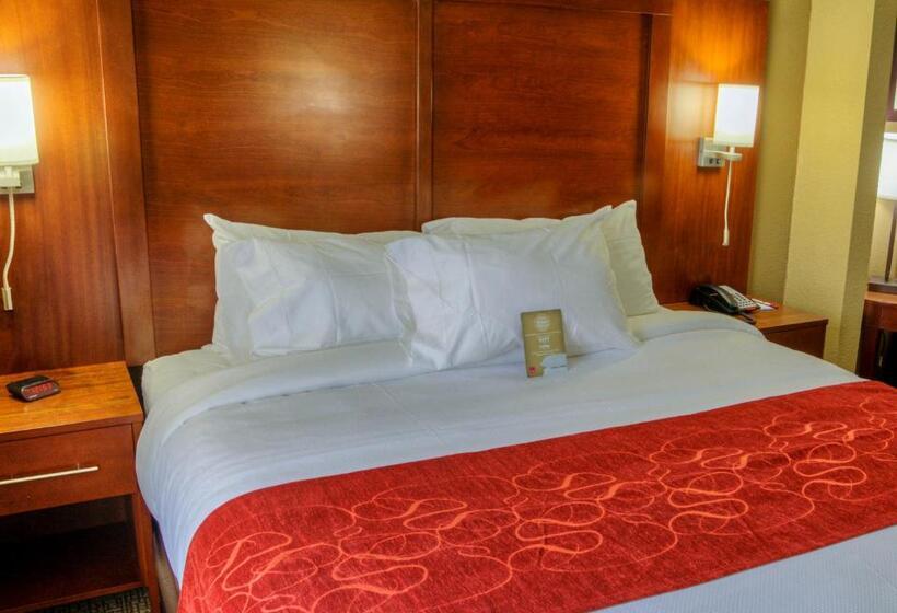 جناح سرير كينج, Comfort Suites Plymouth Near Us 30