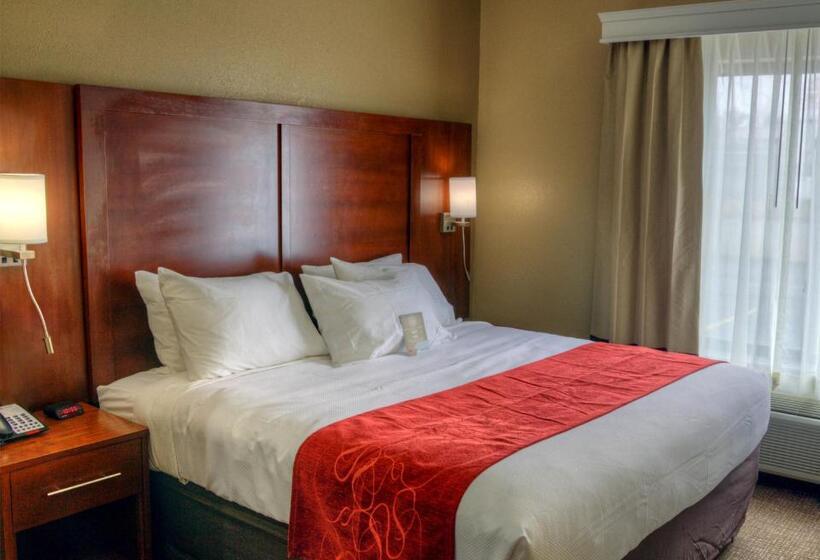 جناح سرير كينج, Comfort Suites Plymouth Near Us 30