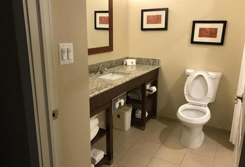 جناح سرير كينج, Comfort Suites Plymouth Near Us 30