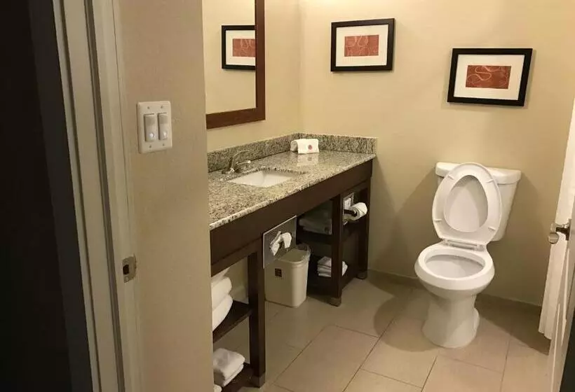 スイート, Comfort Suites Plymouth Near Us 30