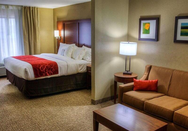 جناح, Comfort Suites Plymouth Near Us 30