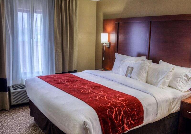 جناح, Comfort Suites Plymouth Near Us 30