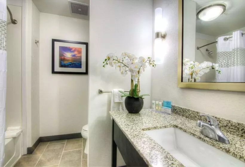 身障者適用スタンダードルーム, Hampton Inn Houston I10 East