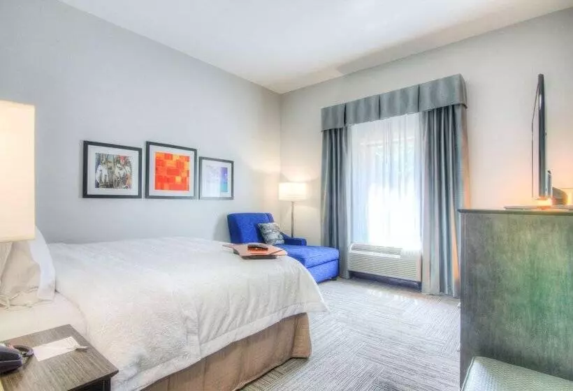 身障者適用スタンダードルーム, Hampton Inn Houston I10 East