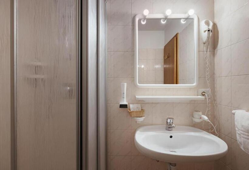 غرفة قياسية, La Montanara Predazzo