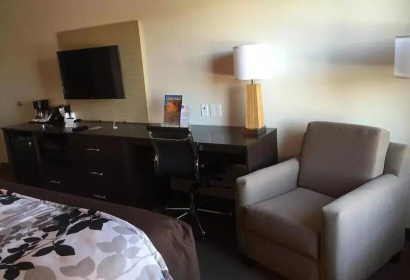 اتاق استاندارد با تخت بزرگ, Sleep Inn & Suites Page At Lake Powell