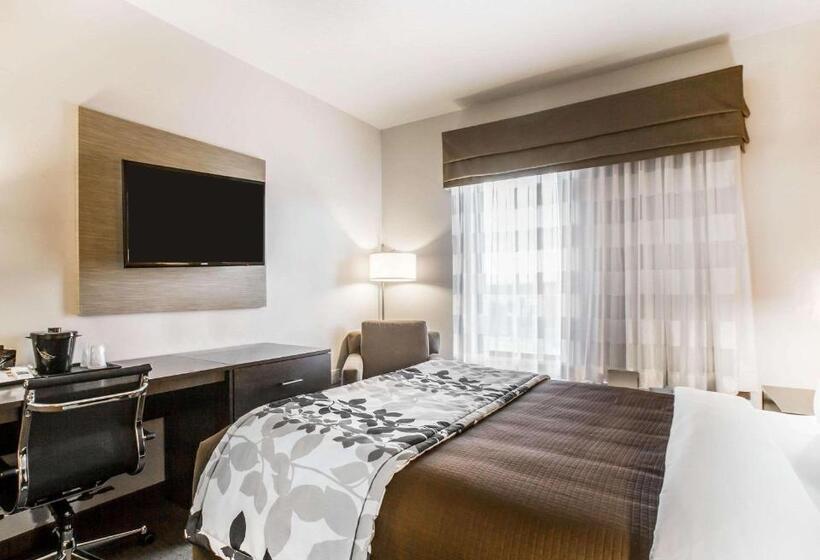 غرفة قياسية سرير كينج, Sleep Inn & Suites Page At Lake Powell