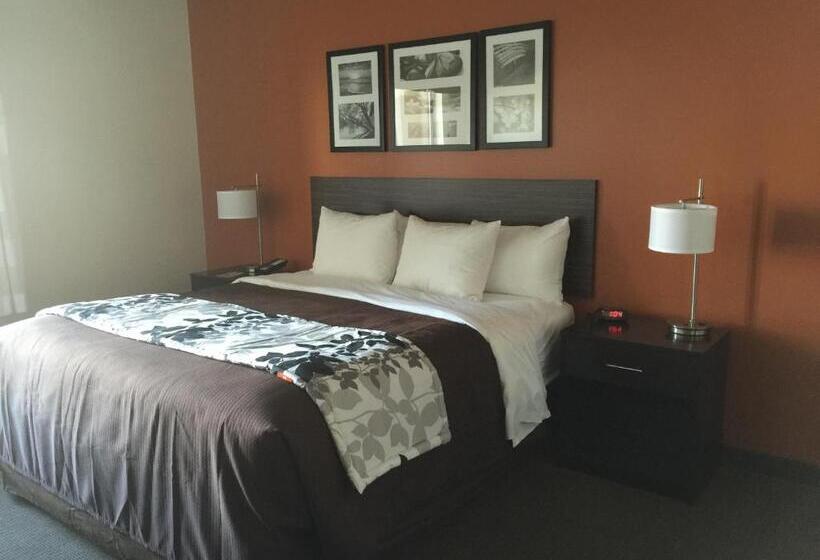 غرفة قياسية سرير كينج, Sleep Inn & Suites Page At Lake Powell