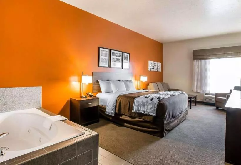 سوئیت جونیور با تخت بزرگ, Sleep Inn & Suites Page At Lake Powell