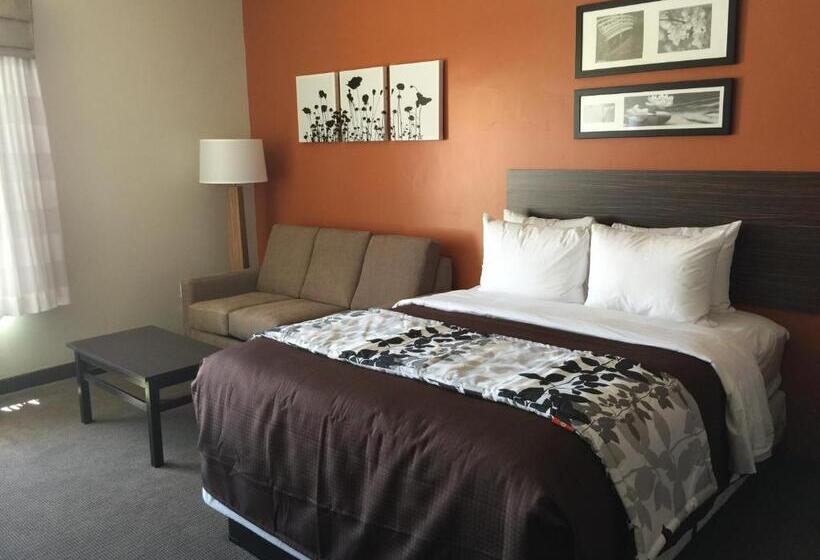 غرفة قياسية سرير كينج, Sleep Inn & Suites Page At Lake Powell