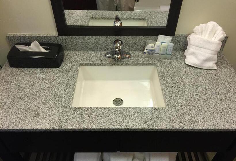 غرفة قياسية, Sleep Inn & Suites Page At Lake Powell