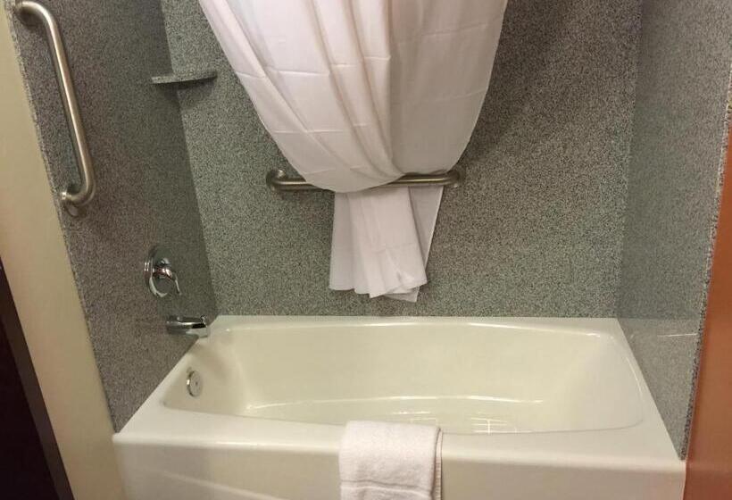 غرفة قياسية, Sleep Inn & Suites Page At Lake Powell