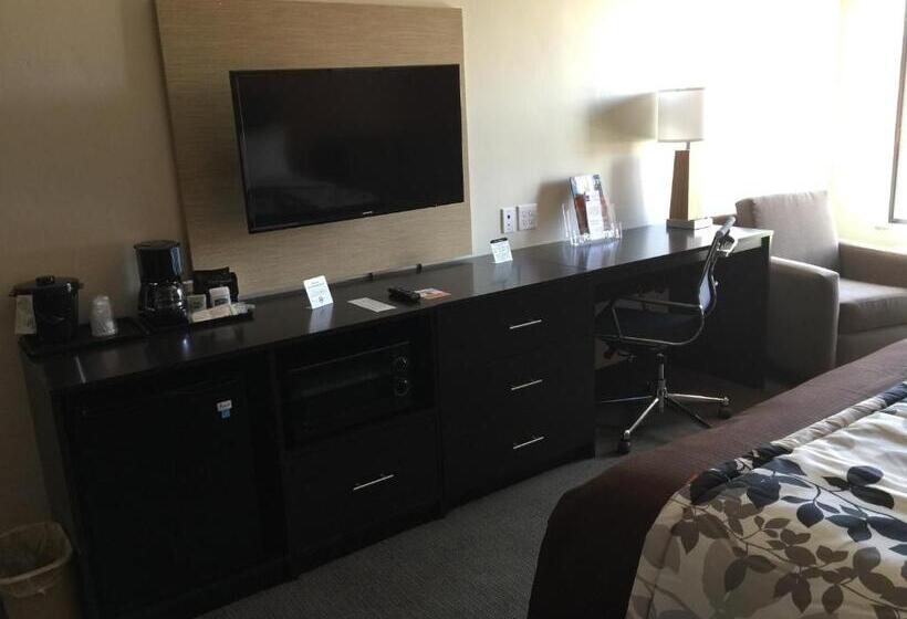 غرفة قياسية, Sleep Inn & Suites Page At Lake Powell