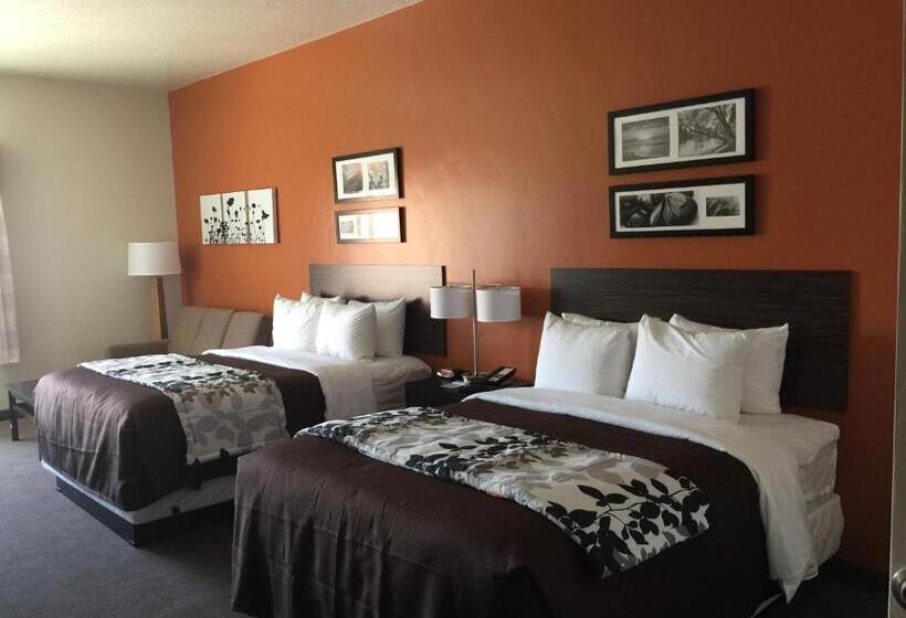 غرفة قياسية, Sleep Inn & Suites Page At Lake Powell