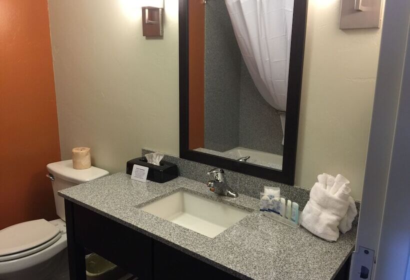 غرفة قياسية سرير كينج, Sleep Inn & Suites Page At Lake Powell