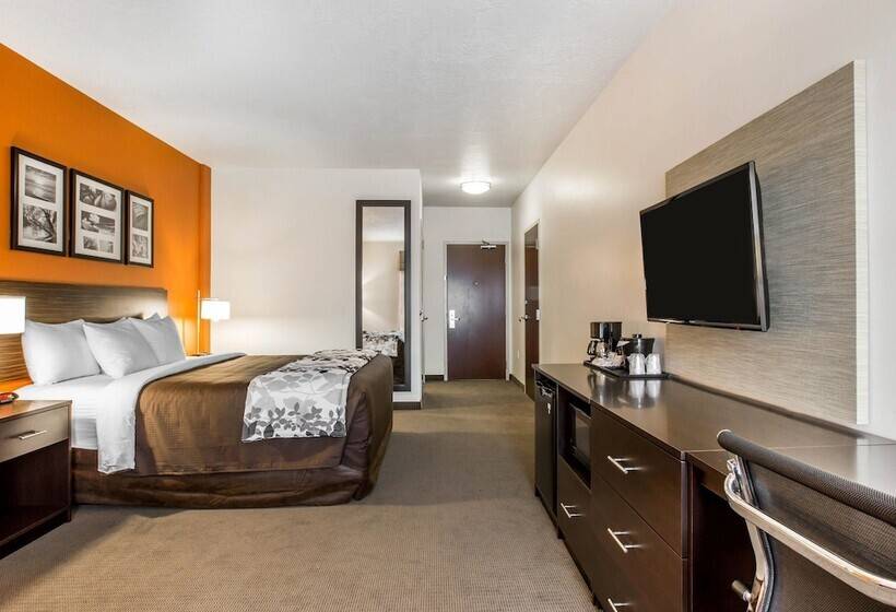 اتاق استاندارد با تخت بزرگ, Sleep Inn & Suites Page At Lake Powell