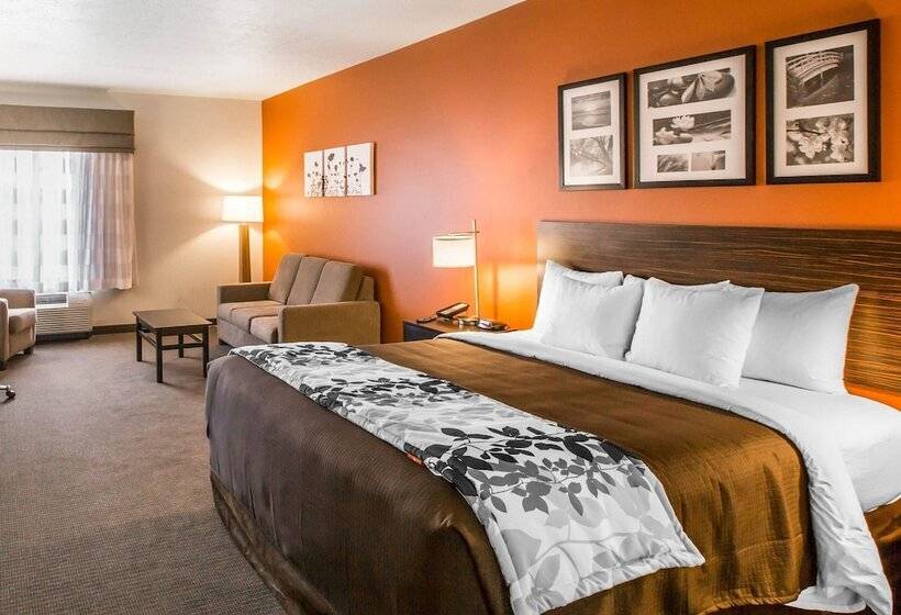غرفة قياسية سرير كينج, Sleep Inn & Suites Page At Lake Powell