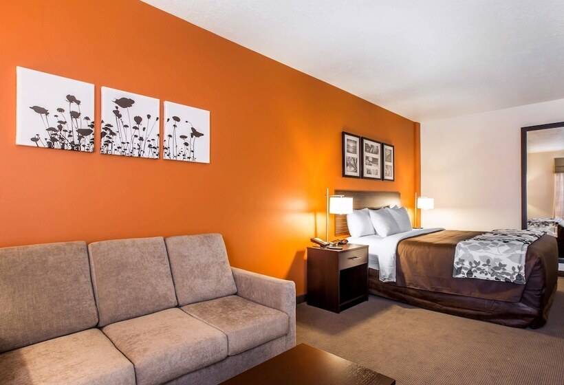 غرفة قياسية سرير كينج, Sleep Inn & Suites Page At Lake Powell