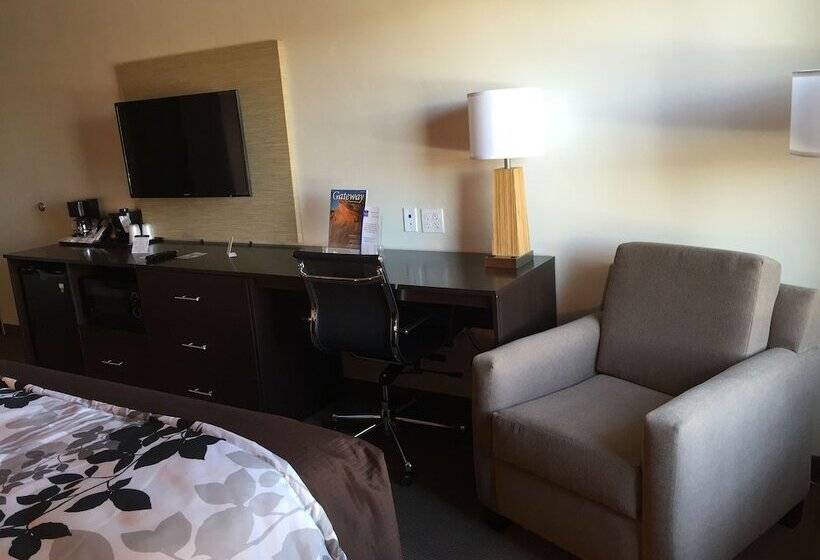غرفة قياسية سرير كينج, Sleep Inn & Suites Page At Lake Powell