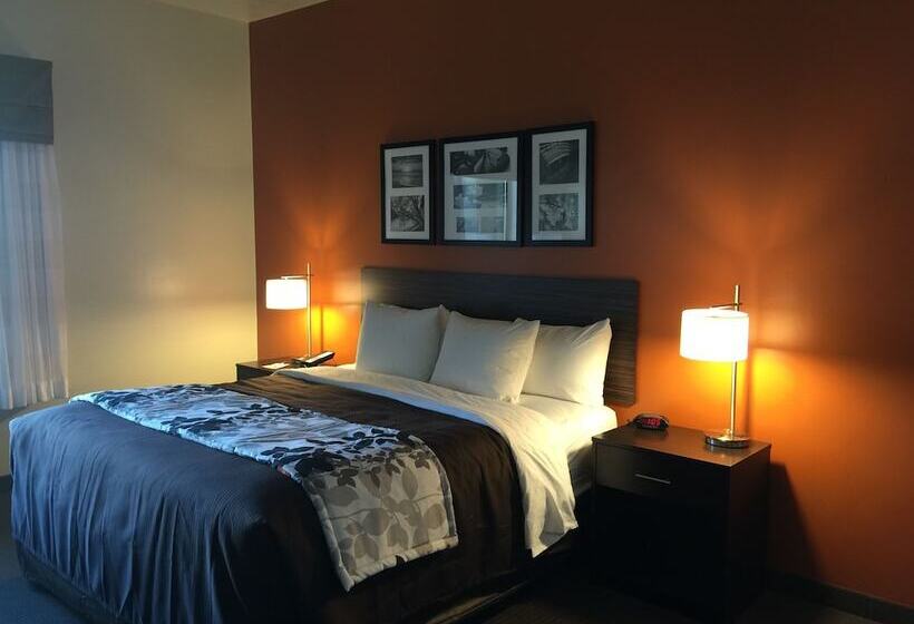 اتاق استاندارد با تخت بزرگ, Sleep Inn & Suites Page At Lake Powell