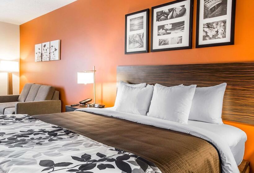 غرفة قياسية سرير كينج, Sleep Inn & Suites Page At Lake Powell