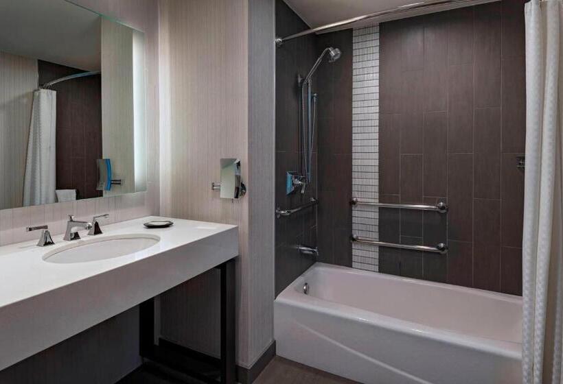 适合残疾人士使用的带超级大床的标准间, The Westin Austin Downtown