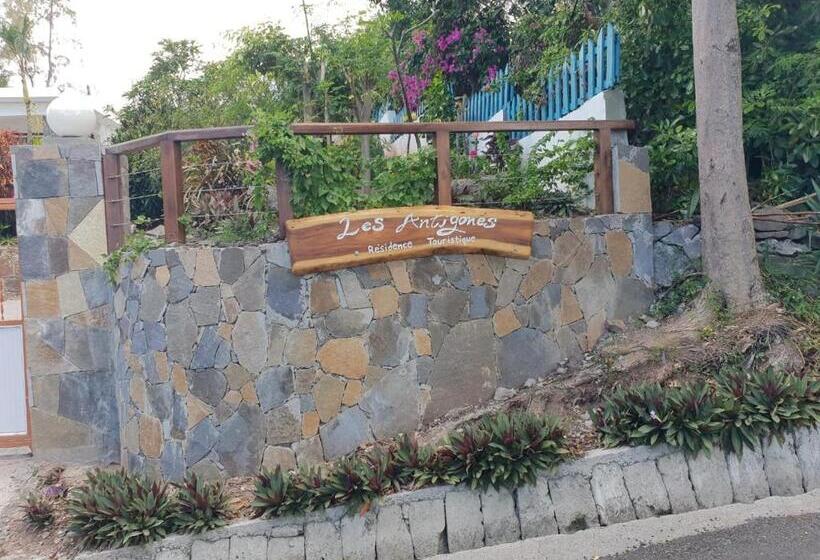 اتاق خانوادگی, Les Antigones
