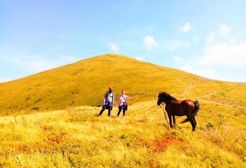 בית, 2 חדרי שינה, Family Green