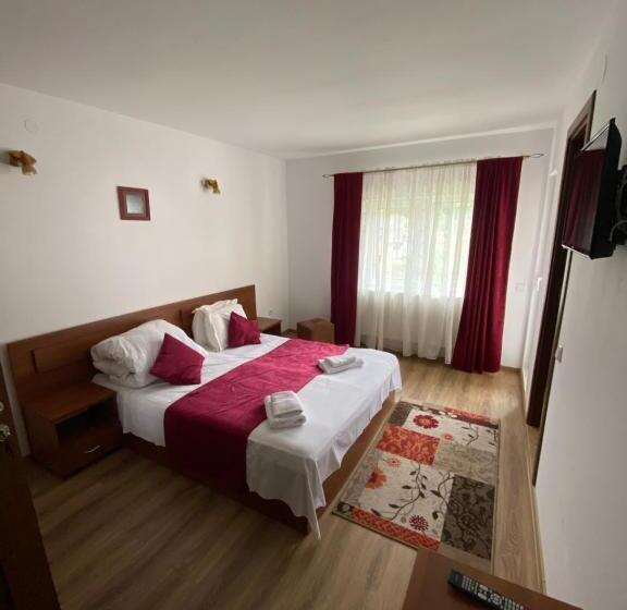 高级大房间, Regina Munților