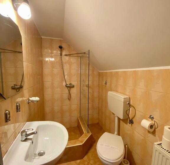 标准间, Regina Munților