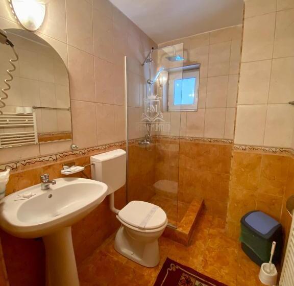 标准间, Regina Munților