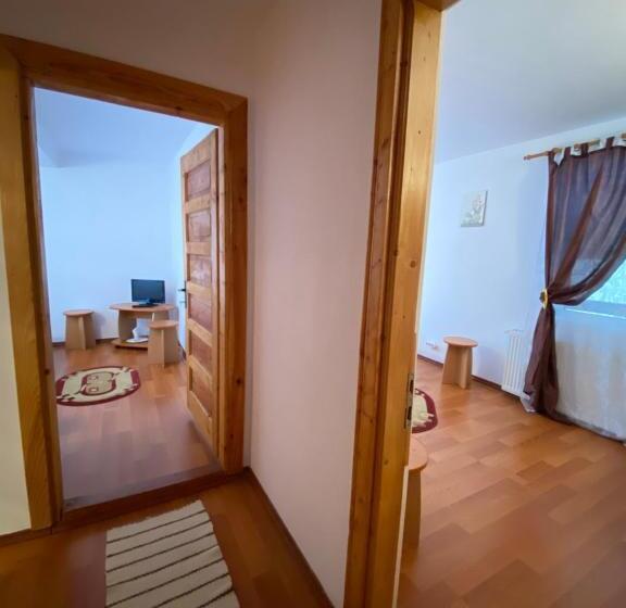 标准工作室, Regina Munților