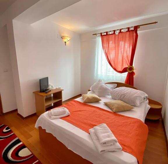 标准工作室, Regina Munților