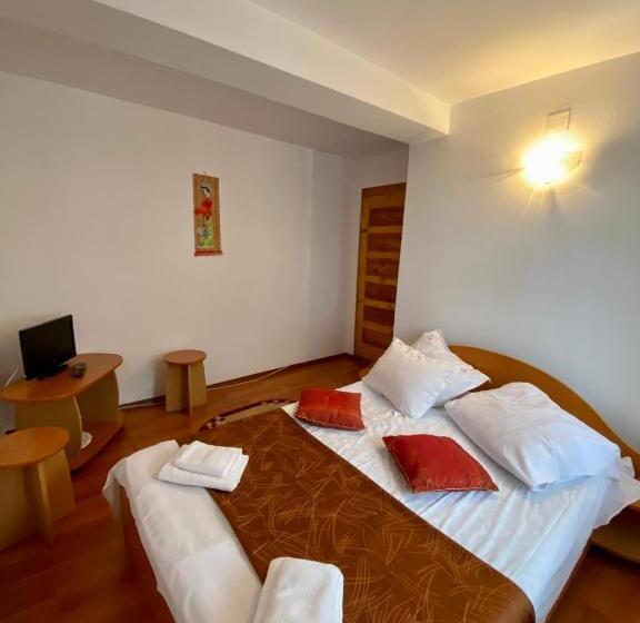 标准工作室, Regina Munților