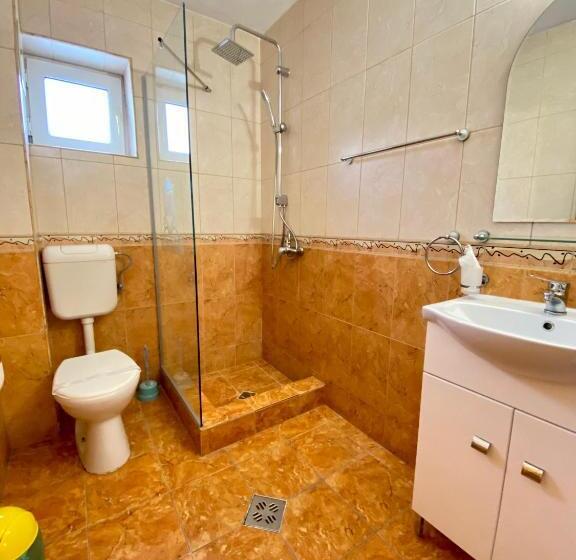 标准间, Regina Munților