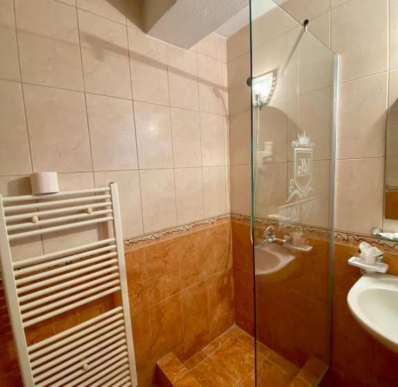 标准间, Regina Munților