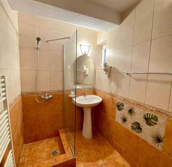 标准间, Regina Munților