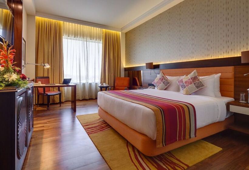 חדר דלוקס נוף לעיר, Balaji Sarovar Premiere